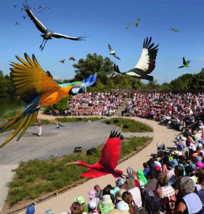 Le Pelican Villardois - 2 Chambres - Centre Villars-les-Dombes Ngoại thất bức ảnh